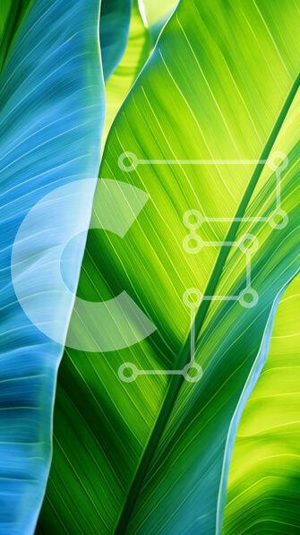 Intra Συλλεκτικό Ξύλινο Παζλ Plywood  4mm - Κοντινό πλάνο από πράσινα και μπλε φύλλα μπανάνας Σε Ξύλινο Κουτί - Διαστάσεις: 10x10 cm – 25 κομμάτια