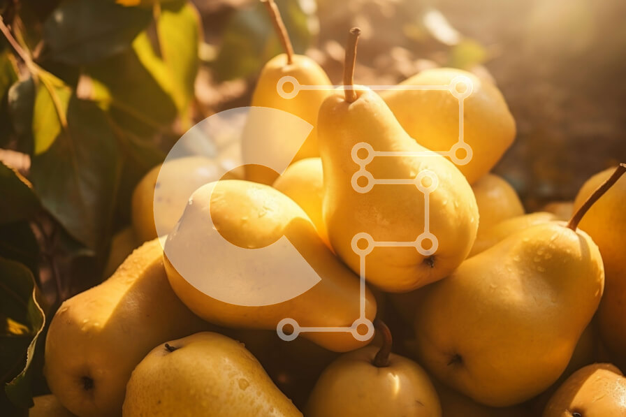 Intra Συλλεκτικό Ξύλινο Παζλ Plywood  4mm - Στοίβα από ώριμα κίτρινα αχλάδια Σε Ξύλινο Κουτί - Διαστάσεις: 10x10 cm – 25 κομμάτια