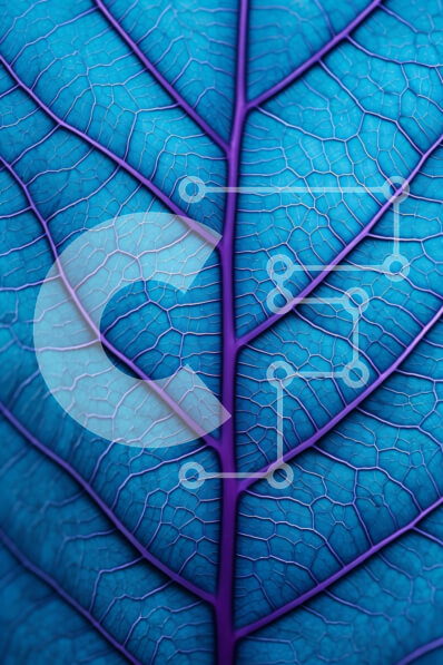 Intra Συλλεκτικό Ξύλινο Παζλ Plywood  4mm - Κοντινή όψη του φωτεινού μπλε φύλλου με περίπλοκες φλέβες Σε Ξύλινο Κουτί - Διαστάσεις: 10x10 cm – 25 κομμάτια