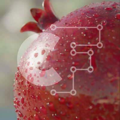 Intra Συλλεκτικό Ξύλινο Παζλ Plywood  4mm - Φρέσκο ​​ρόδι με σταγόνες νερού Σε Ξύλινο Κουτί - Διαστάσεις: 10x10 cm – 25 κομμάτια - Image 1