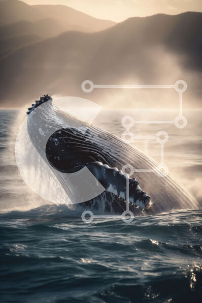 Intra Συλλεκτικό Ξύλινο Παζλ Plywood  4mm - Εκπληκτική εικόνα μιας φάλαινας που ξεφεύγει από το νερό Σε Ξύλινο Κουτί - Διαστάσεις: 10x10 cm – 25 κομμάτια