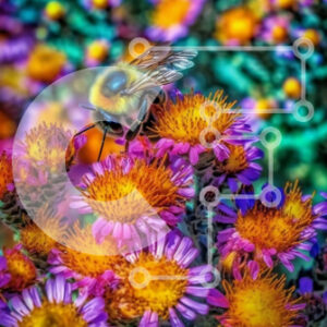 Intra Συλλεκτικό Ξύλινο Παζλ Plywood  4mm - Όμορφη κινηματογράφηση σε πρώτο πλάνο μιας μέλισσας σε ένα λουλούδι με πολύχρωμα λουλούδια στο φόντο Σε Ξύλινο Κουτί - Διαστάσεις: 10x10 cm – 25 κομμάτια