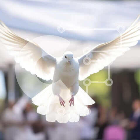 Intra Συλλεκτικό Ξύλινο Παζλ Plywood  4mm - Λευκό Περιστέρι σε πτήση σε εκδήλωση ή γιορτή Σε Ξύλινο Κουτί - Διαστάσεις: 10x10 cm – 25 κομμάτια - Image 1