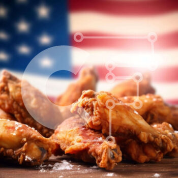 Intra Συλλεκτικό Ξύλινο Παζλ Plywood  4mm - Φτερούγες κοτόπουλου για την ημέρα της ανεξαρτησίας της Αμερικής με φόντο τη σημαία Σε Ξύλινο Κουτί - Διαστάσεις: 10x10 cm – 25 κομμάτια - Image 1