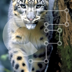 Intra Συλλεκτικό Ξύλινο Παζλ Plywood  4mm - Εκπληκτική εικόνα μιας λεοπάρδαλης του χιονιού στο φυσικό της περιβάλλον Σε Ξύλινο Κουτί - Διαστάσεις: 10x10 cm – 25 κομμάτια