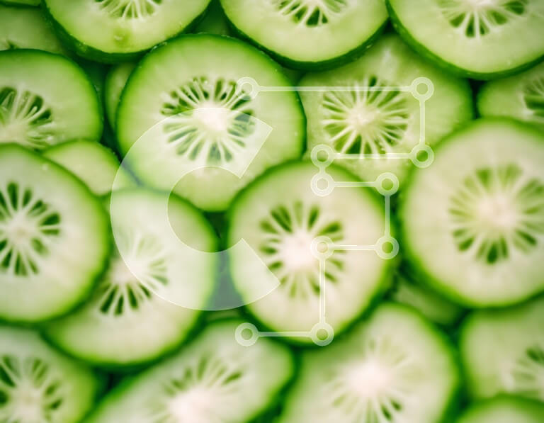 Intra Συλλεκτικό Ξύλινο Παζλ Plywood  4mm - Κοντινό πλάνο διάφορων φετών αγγουριού Σε Ξύλινο Κουτί - Διαστάσεις: 10x10 cm – 25 κομμάτια