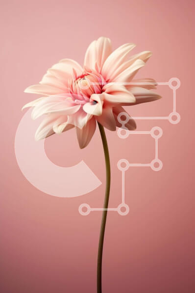 Intra Συλλεκτικό Ξύλινο Παζλ Plywood  4mm - Μονό ροζ λουλούδι σε ροζ φόντο Σε Ξύλινο Κουτί - Διαστάσεις: 10x10 cm – 25 κομμάτια