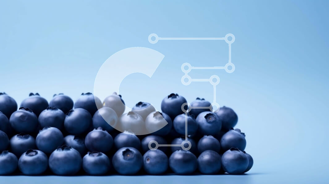 Intra Συλλεκτικό Ξύλινο Παζλ Plywood  4mm - Σωρός από φρέσκα βατόμουρα Σε Ξύλινο Κουτί - Διαστάσεις: 10x10 cm – 25 κομμάτια