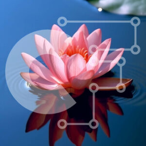 Intra Συλλεκτικό Ξύλινο Παζλ Plywood  4mm - Όμορφη εικόνα του ροζ λουλουδιού λωτού σε ήρεμο νερό Σε Ξύλινο Κουτί - Διαστάσεις: 10x10 cm – 25 κομμάτια