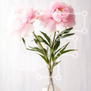 Intra Συλλεκτικό Ξύλινο Παζλ Plywood  4mm - Δύο ροζ παιώνιες σε γυάλινο βάζο σε ξύλινο τραπέζι Σε Ξύλινο Κουτί - Διαστάσεις: 10x10 cm – 25 κομμάτια