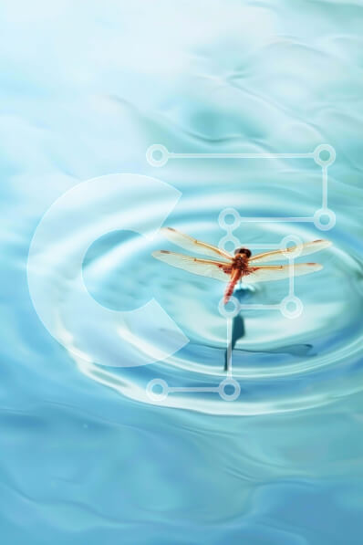 Intra Συλλεκτικό Ξύλινο Παζλ Plywood  4mm - Dragonfly στο μπλε νερό με κυματισμούς Σε Ξύλινο Κουτί - Διαστάσεις: 10x10 cm – 25 κομμάτια