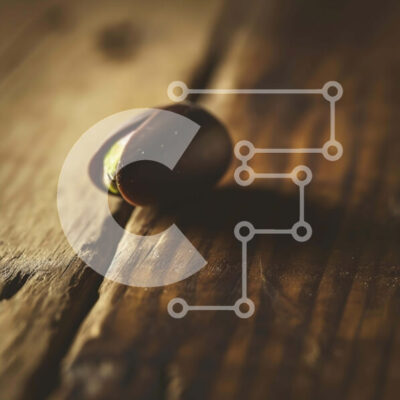 Intra Συλλεκτικό Ξύλινο Παζλ Plywood  4mm - Φιστίκι Αιγίνης σε παλιό ξύλινο τραπέζι Σε Ξύλινο Κουτί - Διαστάσεις: 10x10 cm – 25 κομμάτια - Image 1