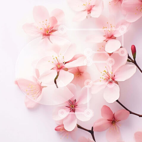 Intra Συλλεκτικό Ξύλινο Παζλ Plywood  4mm - Συστάδα ανθισμένων ανθισμένων κερασιών την άνοιξη Σε Ξύλινο Κουτί - Διαστάσεις: 10x10 cm – 25 κομμάτια - Image 1