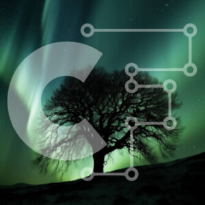 Intra Συλλεκτικό Ξύλινο Παζλ Plywood  4mm - Όμορφη εικόνα της Aurora Borealis και ενός μοναχικού δέντρου στο χιόνι Σε Ξύλινο Κουτί - Διαστάσεις: 10x10 cm – 25 κομμάτια