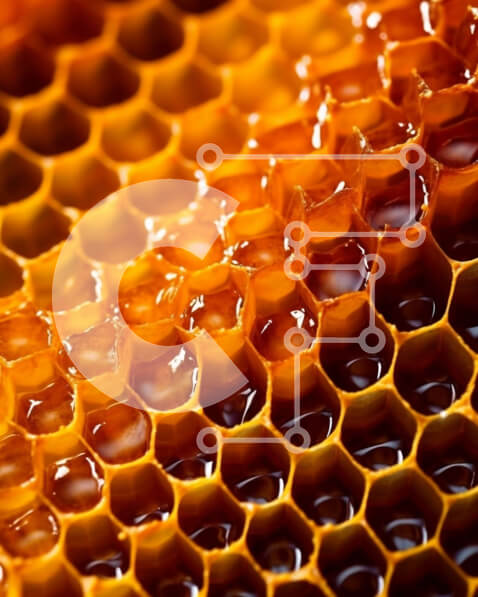 2imVgD2J11oxmDxsaMYaQzOYvFy-desktop