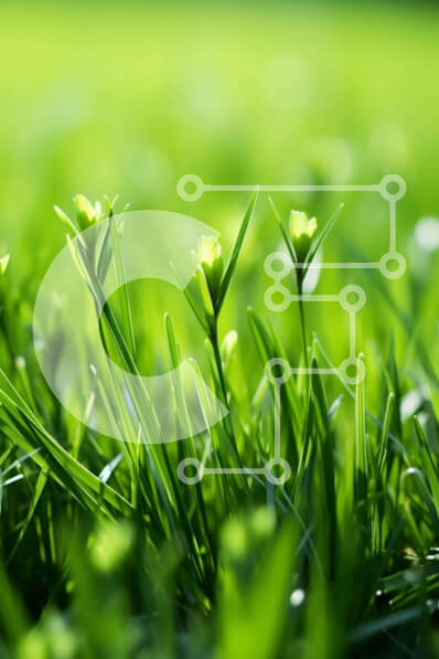 Intra Συλλεκτικό Ξύλινο Παζλ Plywood  4mm - Κοντινό πλάνο της πράσινης χλόης και των λουλουδιών Σε Ξύλινο Κουτί - Διαστάσεις: 10x10 cm – 25 κομμάτια