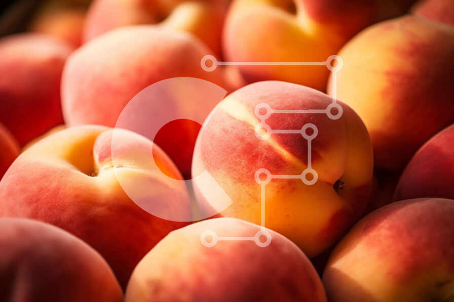 Intra Συλλεκτικό Ξύλινο Παζλ Plywood  4mm - Σωρός από ροδάκινα Σε Ξύλινο Κουτί - Διαστάσεις: 10x10 cm – 25 κομμάτια