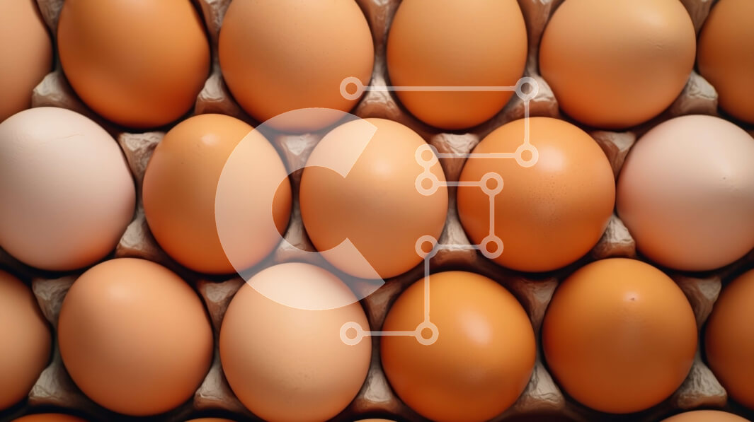 Intra Συλλεκτικό Ξύλινο Παζλ Plywood  4mm - Κοντινό πλάνο καφέ αυγών σε ένα χάρτινο κουτί Σε Ξύλινο Κουτί - Διαστάσεις: 10x10 cm – 25 κομμάτια