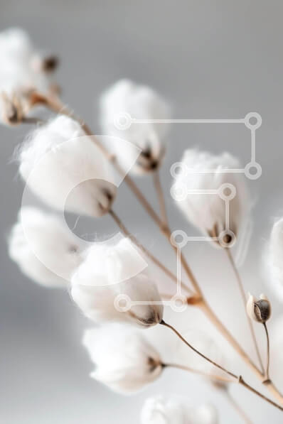 Intra Συλλεκτικό Ξύλινο Παζλ Plywood  4mm - Κοντινό πλάνο λευκών λουλουδιών βαμβακιού Σε Ξύλινο Κουτί - Διαστάσεις: 10x10 cm – 25 κομμάτια