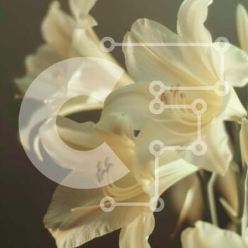 Intra Συλλεκτικό Ξύλινο Παζλ Plywood  4mm - Φρέσκα λευκά κρίνα σε βάζο Σε Ξύλινο Κουτί - Διαστάσεις: 10x10 cm – 25 κομμάτια - Image 1