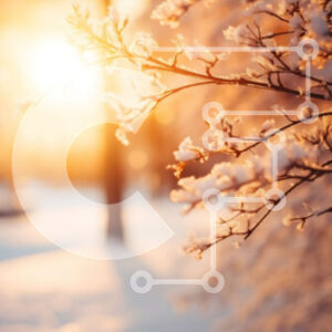 Intra Συλλεκτικό Ξύλινο Παζλ Plywood  4mm - Χιονισμένο τοπίο με δέντρα καλυμμένα στο χιόνι Σε Ξύλινο Κουτί - Διαστάσεις: 10x10 cm – 25 κομμάτια