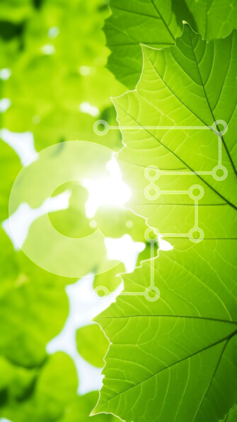 Intra Συλλεκτικό Ξύλινο Παζλ Plywood  4mm - Κοντινό πλάνο των πράσινων φύλλων με το φως του ήλιου Σε Ξύλινο Κουτί - Διαστάσεις: 10x10 cm – 25 κομμάτια