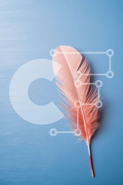 Intra Συλλεκτικό Ξύλινο Παζλ Plywood  4mm - Όμορφη εικόνα ενός ροζ φτερού σε μια μπλε επιφάνεια Σε Ξύλινο Κουτί - Διαστάσεις: 10x10 cm – 25 κομμάτια