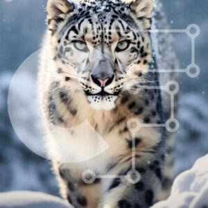 Intra Συλλεκτικό Ξύλινο Παζλ Plywood  4mm - Όμορφη εικόνα μιας λεοπάρδαλης του χιονιού που περπατά Σε Ξύλινο Κουτί - Διαστάσεις: 10x10 cm – 25 κομμάτια