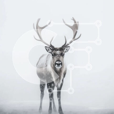 Intra Συλλεκτικό Ξύλινο Παζλ Plywood 4mm - Εκπληκτική εικόνα ενός τάρανδου σε μια χιονισμένη πεδιάδα με ελαφοκέρατα καλυμμένα με παγετό Σε Ξύλινο Κουτί - Διαστάσεις: 10x10 cm – 25 κομμάτια - Image 1