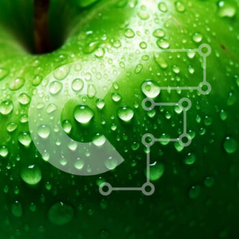 Intra Συλλεκτικό Ξύλινο Παζλ Plywood  4mm - Φρέσκο ​​πράσινο μήλο με σταγονίδια νερού στην επιφάνειά του Σε Ξύλινο Κουτί - Διαστάσεις: 10x10 cm – 25 κομμάτια - Image 1