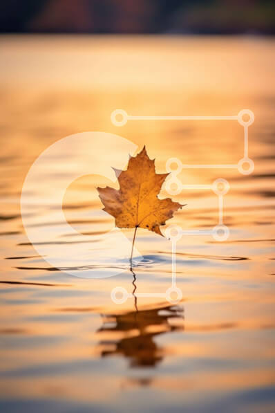 Intra Συλλεκτικό Ξύλινο Παζλ Plywood  4mm - Όμορφη εικόνα ενός κίτρινου φύλλου στην ήρεμη λίμνη στο ηλιοβασίλεμα Σε Ξύλινο Κουτί - Διαστάσεις: 10x10 cm – 25 κομμάτια