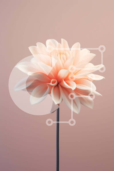 Intra Συλλεκτικό Ξύλινο Παζλ Plywood  4mm - Ροζ λουλούδι σε υπόλευκο φόντο Σε Ξύλινο Κουτί - Διαστάσεις: 10x10 cm – 25 κομμάτια