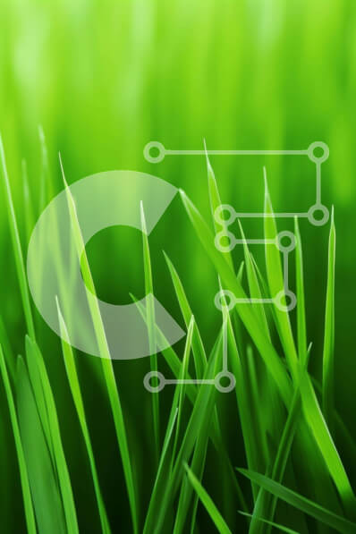 Intra Συλλεκτικό Ξύλινο Παζλ Plywood  4mm - Κοντινό πλάνο με πλούσια πράσινη χλόη Σε Ξύλινο Κουτί - Διαστάσεις: 10x10 cm – 25 κομμάτια