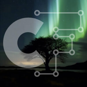 Intra Συλλεκτικό Ξύλινο Παζλ Plywood  4mm - Aurora Borealis και ένα μοναχικό δέντρο στην ερημιά Σε Ξύλινο Κουτί - Διαστάσεις: 10x10 cm – 25 κομμάτια