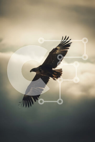 Intra Συλλεκτικό Ξύλινο Παζλ Plywood  4mm - Ασπρόμαυρη εικόνα ενός αετού σε πτήση Σε Ξύλινο Κουτί - Διαστάσεις: 10x10 cm – 25 κομμάτια