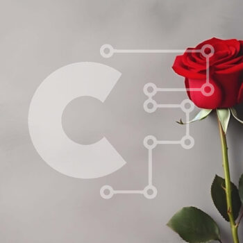 Intra Συλλεκτικό Ξύλινο Παζλ Plywood  4mm - Μονό κόκκινο τριαντάφυλλο σε γκρι φόντο Σε Ξύλινο Κουτί - Διαστάσεις: 10x10 cm – 25 κομμάτια - Image 1