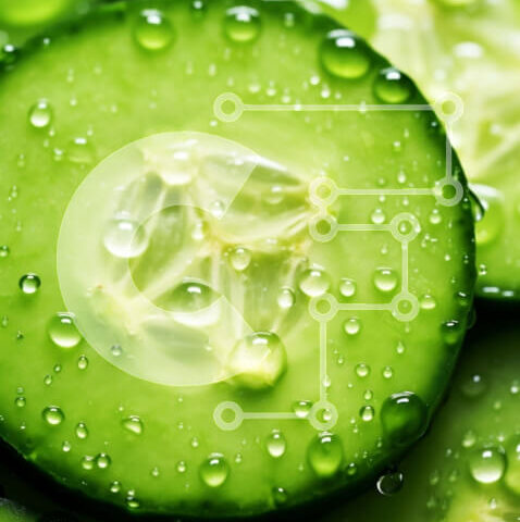 Intra Συλλεκτικό Ξύλινο Παζλ Plywood 4mm - Δροσιστική εικόνα από φέτες αγγουριού με σταγονίδια νερού Σε Ξύλινο Κουτί - Διαστάσεις: 10x10 cm – 25 κομμάτια - Image 1