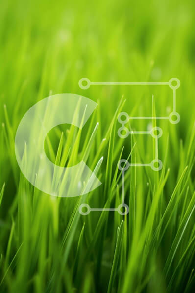 Intra Συλλεκτικό Ξύλινο Παζλ Plywood  4mm - Κοντινό πλάνο της πλούσιας πράσινης χλόης Σε Ξύλινο Κουτί - Διαστάσεις: 10x10 cm – 25 κομμάτια