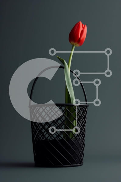 Intra Συλλεκτικό Ξύλινο Παζλ Plywood  4mm - Κόκκινο λουλούδι τουλίπας σε μαύρο καλάθι Σε Ξύλινο Κουτί - Διαστάσεις: 10x10 cm – 25 κομμάτια