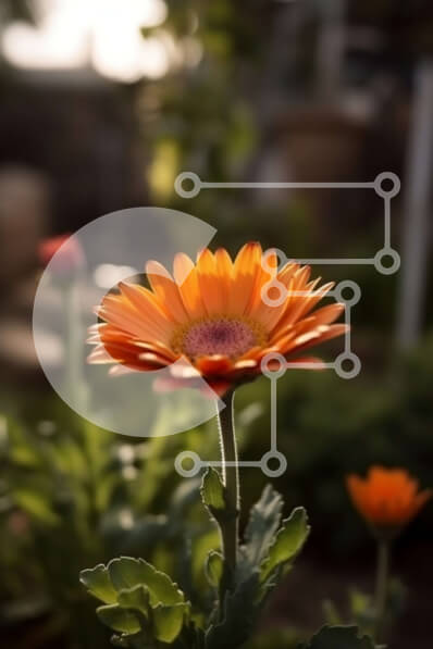 Intra Συλλεκτικό Ξύλινο Παζλ Plywood  4mm - Όμορφη εικόνα πορτοκαλί λουλουδιού μαργαρίτας με πράσινα φύλλα Σε Ξύλινο Κουτί - Διαστάσεις: 10x10 cm – 25 κομμάτια