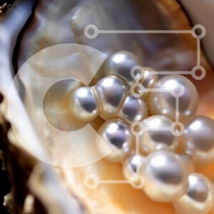 Intra Συλλεκτικό Ξύλινο Παζλ Plywood  4mm - Όμορφη εικόνα ενός κοχυλιού στρειδιού με μαργαριτάρια μέσα Σε Ξύλινο Κουτί - Διαστάσεις: 10x10 cm – 25 κομμάτια