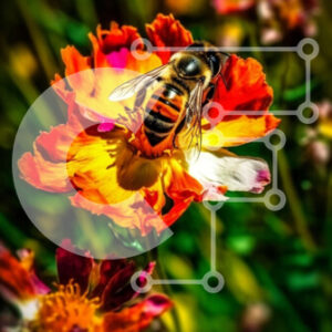 Intra Συλλεκτικό Ξύλινο Παζλ Plywood  4mm - Εκπληκτική εικόνα μιας μέλισσας σε ένα ζωντανό λουλούδι Σε Ξύλινο Κουτί - Διαστάσεις: 10x10 cm – 25 κομμάτια