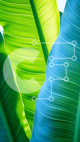 Intra Συλλεκτικό Ξύλινο Παζλ Plywood  4mm - Κοντινό πλάνο με πράσινα και μπλε φύλλα μπανάνας Σε Ξύλινο Κουτί - Διαστάσεις: 10x10 cm – 25 κομμάτια