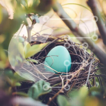 Intra Συλλεκτικό Ξύλινο Παζλ Plywood  4mm - Φρέσκο ​​μπλε αυγό στη φωλιά βελανιδιάς Σε Ξύλινο Κουτί - Διαστάσεις: 10x10 cm – 25 κομμάτια - Image 1