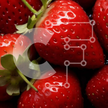 Intra Συλλεκτικό Ξύλινο Παζλ Plywood  4mm - Φρέσκες φράουλες σε κύκλο Σε Ξύλινο Κουτί - Διαστάσεις: 10x10 cm – 25 κομμάτια - Image 1