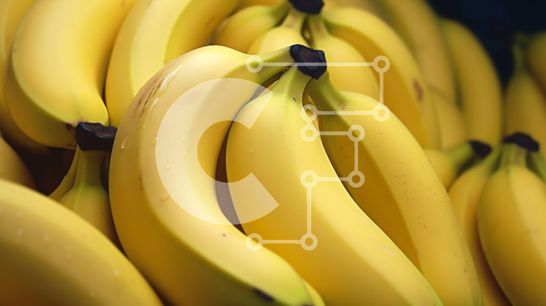 Intra Συλλεκτικό Ξύλινο Παζλ Plywood  4mm - Στοιβαγμένες μπανάνες Σε Ξύλινο Κουτί - Διαστάσεις: 10x10 cm – 25 κομμάτια