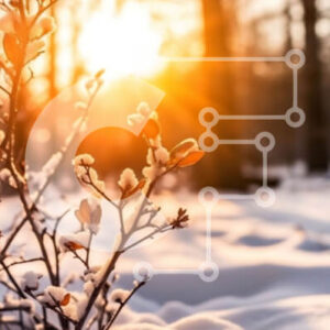 Intra Συλλεκτικό Ξύλινο Παζλ Plywood  4mm - Χειμερινή χώρα των θαυμάτων - Χιονισμένο δάσος με πορτοκαλί ηλιοβασίλεμα Σε Ξύλινο Κουτί - Διαστάσεις: 10x10 cm – 25 κομμάτια