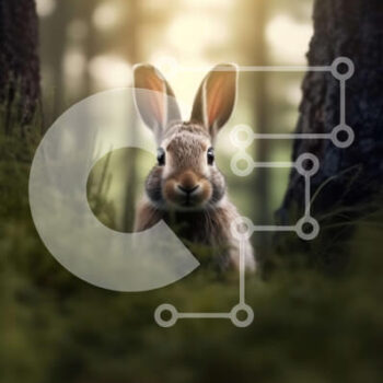 Intra Συλλεκτικό Ξύλινο Παζλ Plywood  4mm - Αξιολάτρευτη εικόνα ενός περίεργου κουνελιού σε ένα φυσικό δάσος Σε Ξύλινο Κουτί - Διαστάσεις: 10x10 cm – 25 κομμάτια - Image 1