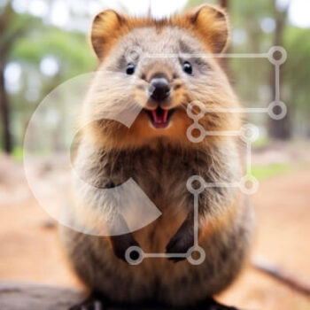 Intra Συλλεκτικό Ξύλινο Παζλ Plywood  4mm - Αξιολάτρευτη εικόνα ενός μικρού γούνινο πλάσματος σε ένα δάσος Σε Ξύλινο Κουτί - Διαστάσεις: 10x10 cm – 25 κομμάτια - Image 1