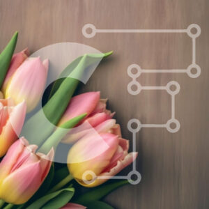 Intra Συλλεκτικό Ξύλινο Παζλ Plywood  4mm - Όμορφη ανθοδέσμη με ροζ τουλίπες σε ξύλινη επιφάνεια Σε Ξύλινο Κουτί - Διαστάσεις: 10x10 cm – 25 κομμάτια